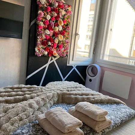 Apartment Softwave Wellness With Garage Included Strasbourg